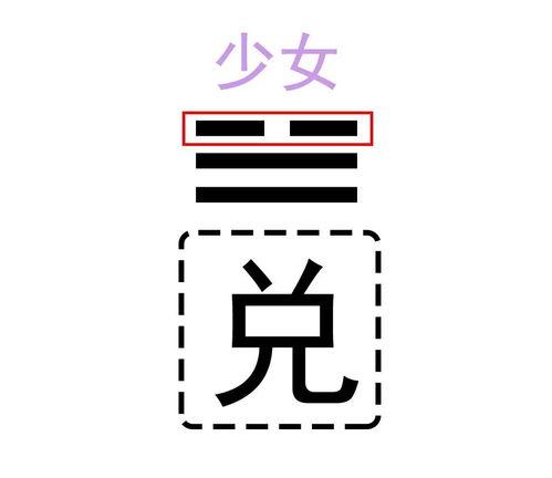 八卦中子女对应,揭秘生命传承的奥秘