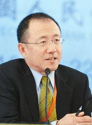 高西庆背景,从金融奇才到政策智囊的华丽转身